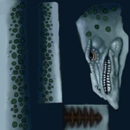 Iceserp