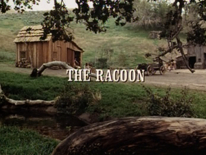 Title.raccoon