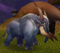 Wild Elekk-closeup.jpg