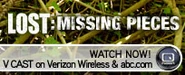 204x83 missingpieces 03