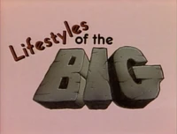 LifestylesBigLittle.jpg