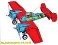 Blackhawk plane