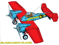 Blackhawk plane
