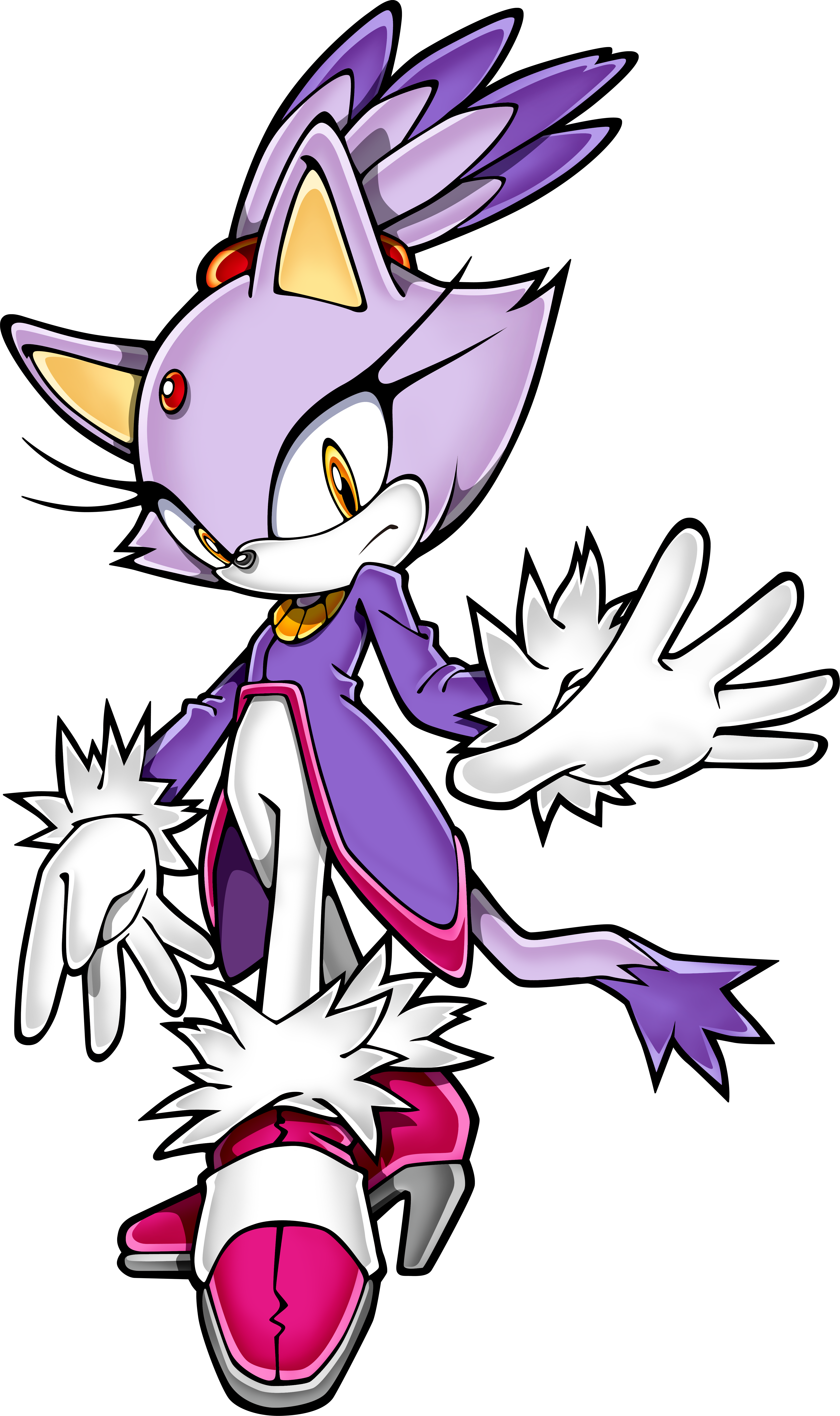 blaze the cat and silver the hedgehog human