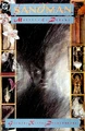 Sandman 1