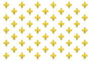 KingdomofFranceflag