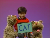 ChipandDipCAT