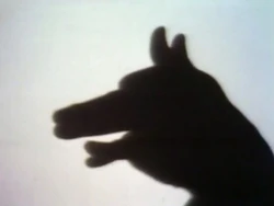 Shadowpuppetdog