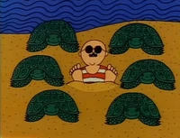 6turtles1man.jpg