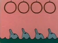 4dolphins.jpg