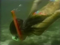 Alottoseeunderthesea.jpg