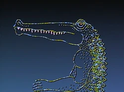 Crocodile.IshuPatel