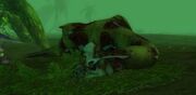 Fresh Threshadon Carcass