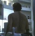 Denobulan back.jpg