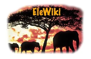Elewiki Logo.jpg