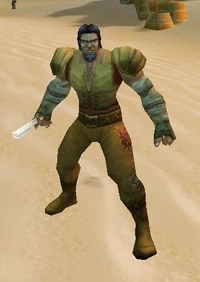 Wastewander thief