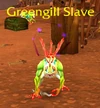 Greengill Slave