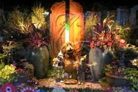 Ozflowershow22
