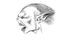 Ork