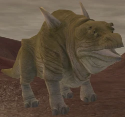 Bolma.png