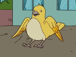 Henrycanary