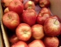 LasManzanas.jpg