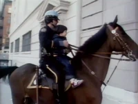 Policehorses.jpg
