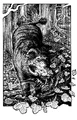 Great boar2.jpg