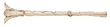 SirensFlute