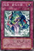 NinjitsuArtofTransformation-308-JP-C