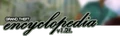 Wiki wide.png