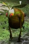 Swooping Snitchbug