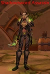 Shadowsword Assassin
