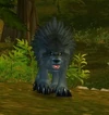 Vilebranch Wolf Pup