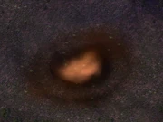 Crater