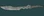 BladeoftheBetrayer.png