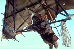 Ewok Glider2.jpg