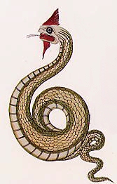 A Cobra e o Louro (Snake and the Parrots) - ChuChu TV Histórias de