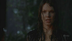Harper rain