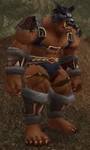 Dertrok