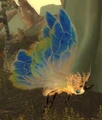 Mature Silkwing.jpg