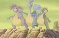 Yellow Bellies.jpg
