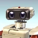 R.O.B.