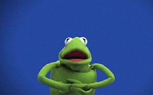 Kermit-hitchcock
