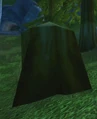 Mysterious Tree Stump.jpg