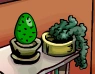 Cactus Egg