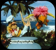 VMhawaii-b6