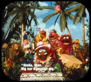 VMhawaii-c1