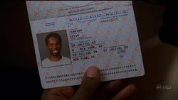 MichaelPassport.jpg