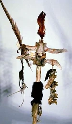 Lograys shaman staff